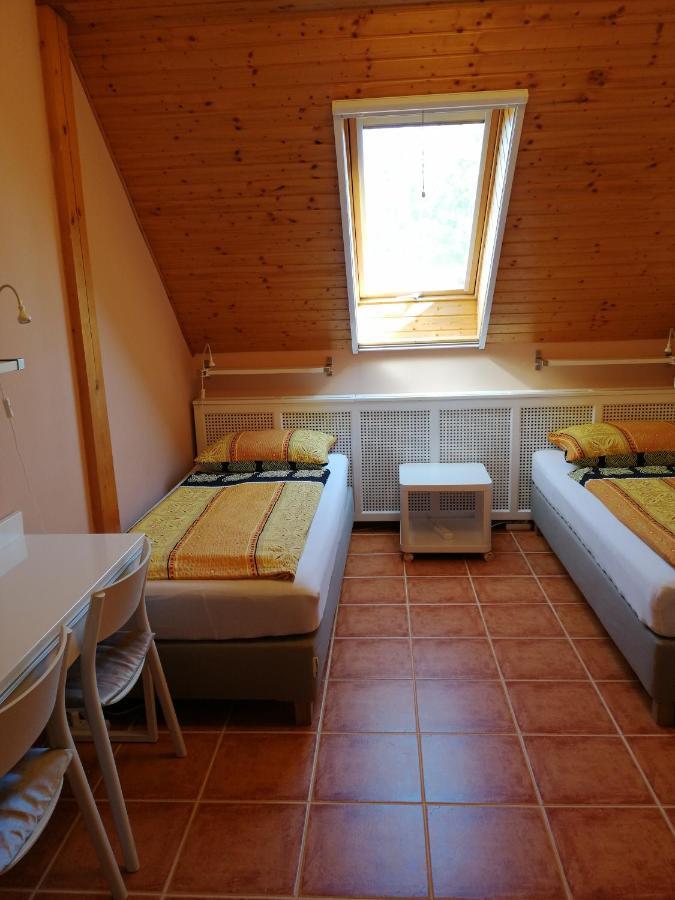 Karpatia Panzio Bed & Breakfast Esztergom Ngoại thất bức ảnh